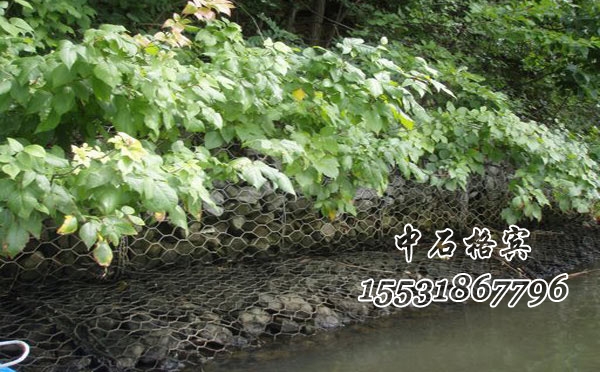 生態格賓網 生態格賓網