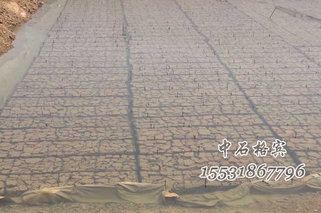 格賓網沉排施工 格賓網沉排施工