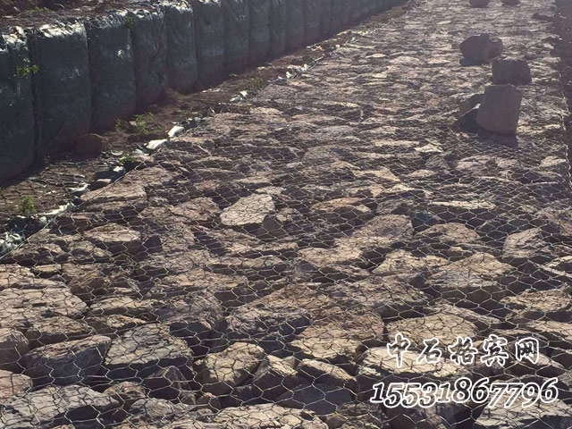 賓格網.jpg 賓格網.jpg