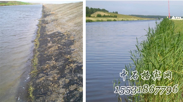 鍍高爾凡加筋麥克墊 鍍高爾凡加筋麥克墊