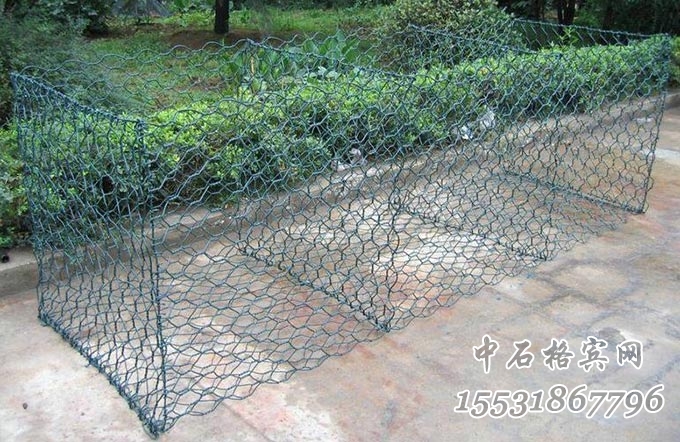 綠格網.jpg 綠格網.jpg