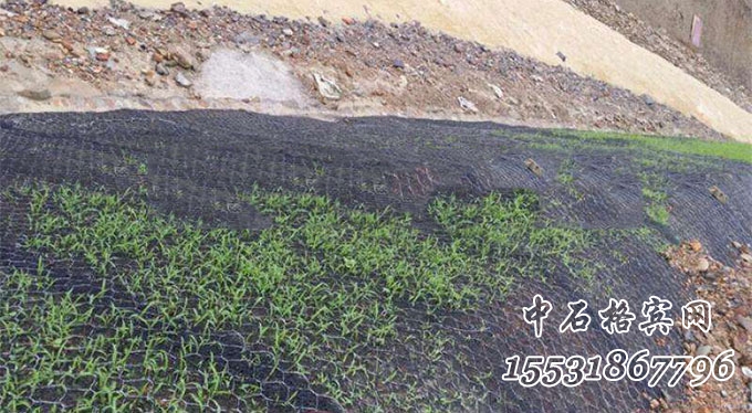 加筋麥克墊護坡 加筋麥克墊護坡