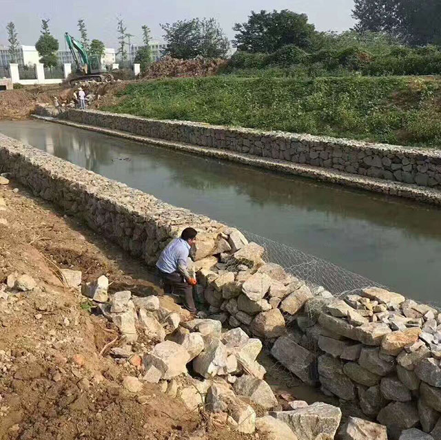 ct1869.jpg ct1869.jpg