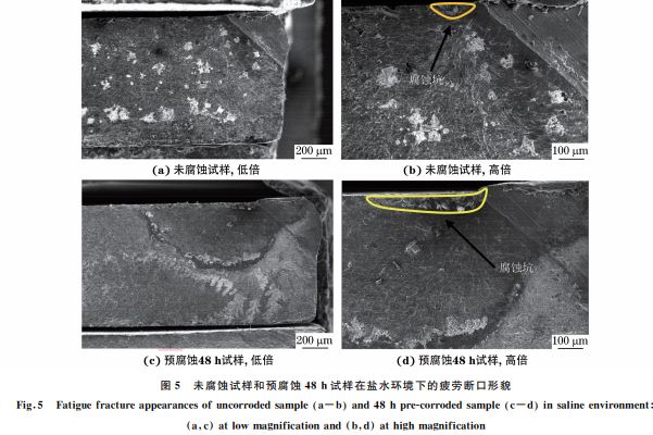 圖５ 未腐蝕試樣和預腐蝕４８h試樣在鹽水環境下的疲勞斷口形貌